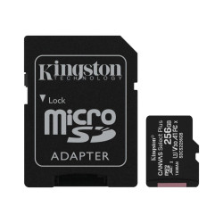 SCHEDA DI MEMORIA SDHC KINGSTON 256GB CLASSE 10/100 MB + ADATTATORE SD