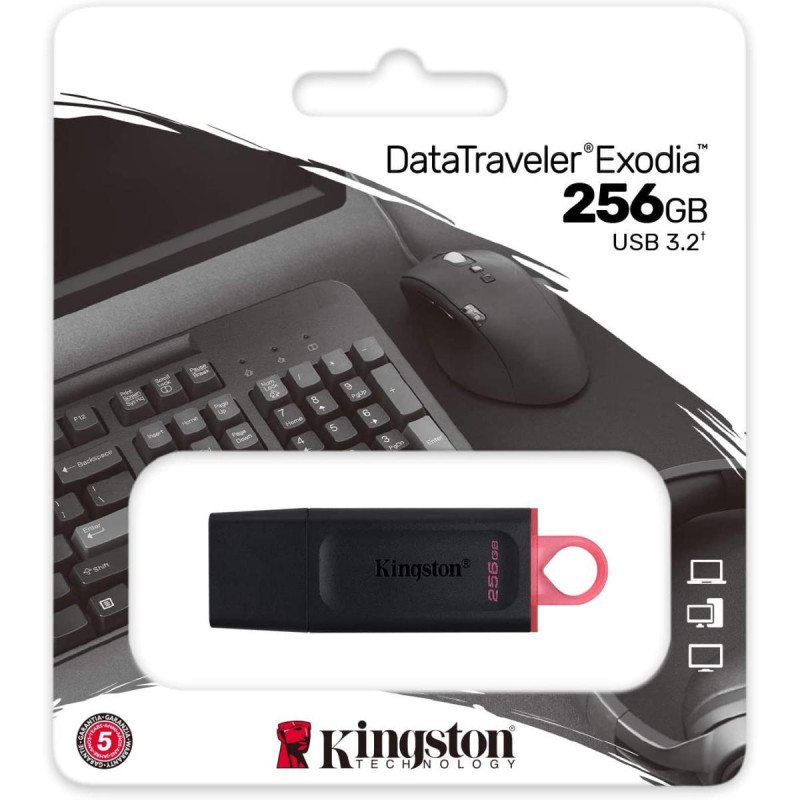 PENDRIVE KINGSTON DATATRAVELER EXODIA USB FLASH DRIVE 256GB - USB 3.2 GEN 1