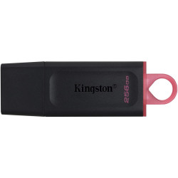 PENDRIVE KINGSTON DATATRAVELER EXODIA USB FLASH DRIVE 256GB - USB 3.2 GEN 1