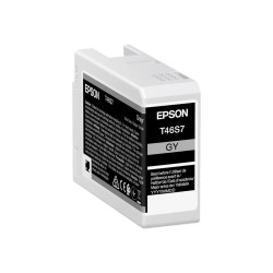 CARTUCCIA ORIGINALE (T46S7, C13T46S700) EPSON SURECOLOR SC-P700 (25ML) GRIGIO