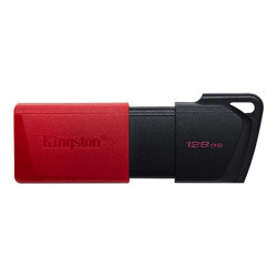PENDRIVE KINGSTON DATATRAVELER EXODIA M CHIAVETTA USB 128GB - USB 3.2 GEN 1 - CAPPUCCIO PER CELLULARE - CLIP PORTACHIAVI - COLOR