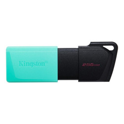 PENDRIVE KINGSTON DATATRAVELER EXODIA M CHIAVETTA USB 256GB - USB 3.2 GEN 1 - CAPPUCCIO PER CELLULARE - CLIP PORTACHIAVI - COLOR