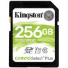 SCHEDA DI MEMORIA SDHC KINGSTON 256GB UHS-I CLASSE10 FINO A 100MB