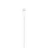 CAVO APPLE DA LIGHTNING A USB-A - LUNGHEZZA 2 M - BIANCO