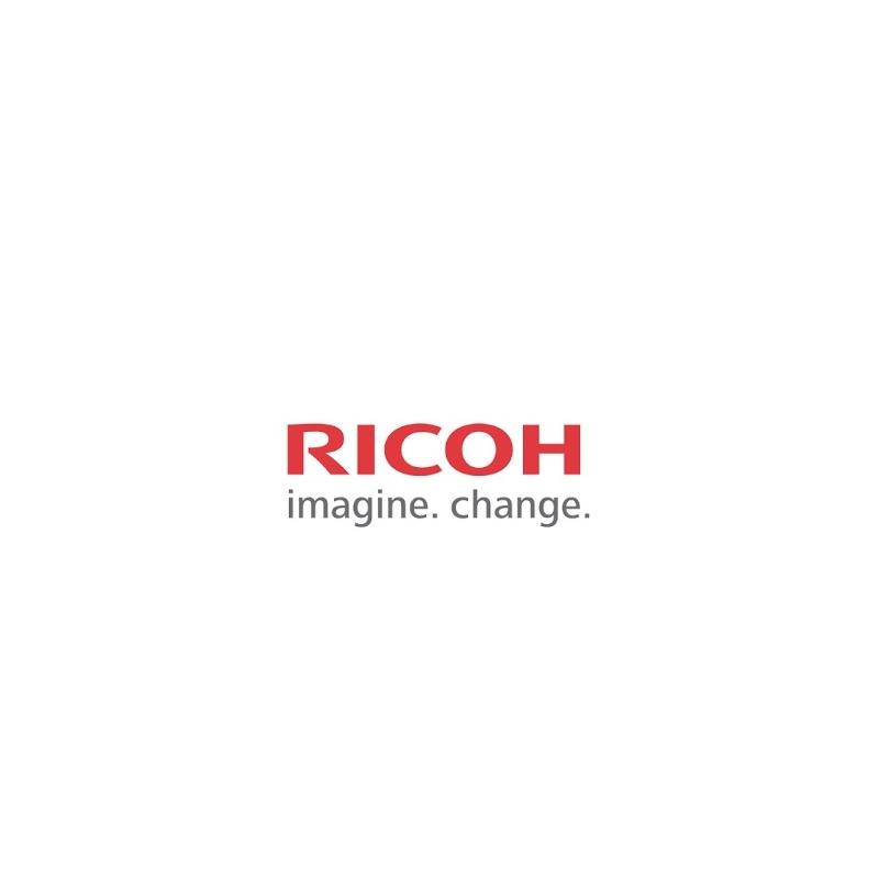 TERMISTORE FUSORE SUB-ASS Y ORIGINALE (G102-4156) RICOH SP C410DN