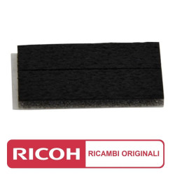 KIT SPUGNA DI GUARNIZIONE GRUPPO SVILUPPO (D202-3028) RICOH MP 2554