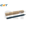 DRUM COMPATIBILE PER RICOH AFICIO MP C3003 (JAPAN) NEW VERSION | OEM COLOR