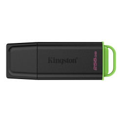 PENDRIVE KINGSTON DATATRAVELER EXODIA DA 256 GB - USB 3.2 GEN 1