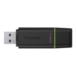 PENDRIVE KINGSTON DATATRAVELER EXODIA DA 256 GB - USB 3.2 GEN 1
