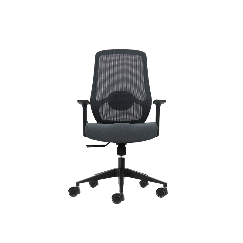 SEDIA DA UFFICIO ERGONOMICA OQONOS CHERG 003 CON SUPPORTO LOMBARE - GRIGIO