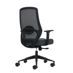 SEDIA DA UFFICIO ERGONOMICA OQONOS CHERG 003 CON SUPPORTO LOMBARE - GRIGIO