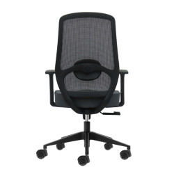 SEDIA DA UFFICIO ERGONOMICA OQONOS CHERG 003 CON SUPPORTO LOMBARE - GRIGIO