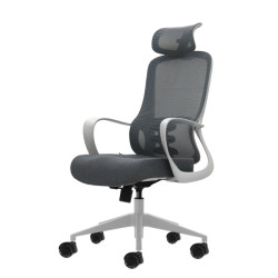SEDIA DA UFFICIO ERGONOMICA OQONOS CHERG 008 CON POGGIATESTA CERVICALE - GRIGIO