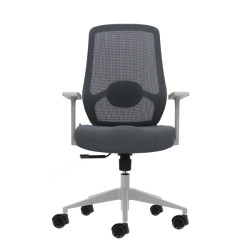 SEDIA DA UFFICIO ERGONOMICA OQONOS CHERG 003 - GRIGIO