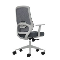 SEDIA DA UFFICIO ERGONOMICA OQONOS CHERG 003 - GRIGIO