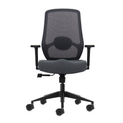 SEDIA DA UFFICIO ERGONOMICA OQONOS CHERG 025 - GRIGIO CON STRUTTURA NERA