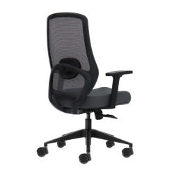 SEDIA DA UFFICIO ERGONOMICA OQONOS CHERG 025 - GRIGIO CON STRUTTURA NERA